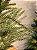 GALHO DE PINHEIRO VERDE COM DOURADO 70CM - Imagem 3