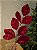 GALHO COM FOLHAS EM VELUDO VERMELHO 75CM - Imagem 6