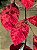 GALHO COM FOLHAS EM VELUDO VERMELHO 160CM - Imagem 7