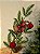 GALHO DECORATIVO BERRY COM PINHA E BOLA VELUDO 70CM - Imagem 5