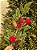 GALHO DECORATIVO BERRY COM PINHA E BOLA VELUDO 70CM - Imagem 2