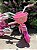 BICICLETA ARO (12) FEMININA COR ROSA/BRANCO S/MARCHA MARCA NATHOR FLOWER COM CESTA - Imagem 4