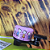 CAMPAINHA LINHA FAMILY ROSA/PRETO - Imagem 3
