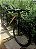 BICICLETA MTB ARO (29) OGGI HACKER HDS CAMBIO SHIMANO TOURNEY 24V FREIO DISC HIDRÁULICO QUADRO 15 (P) COR VD/LAR/PTO - Imagem 4