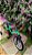 BICICLETA ARO (16) MASCULINA VERDE S/MARCHA ATHOR BABY - Imagem 6