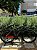 BICICLETA MTB ARO 29 ZT3 ALUMINIO 21V IMPORTADO FREIO DISC MECÂNICO 19 (G) GRAFITE/LARANJA NEON - Imagem 3