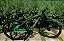 BICICLETA MTB ARO 29 ZT3 ALUMINIO KIT 21V IMPORTADO FREIO DISC MECÂNICO 17 (M) GRAFITE/VERDE NEON - Imagem 5