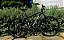 BICICLETA MTB ARO 29 HOUSTON KAMP FREIO DISC MECANICO QUADRO 19 (G) PRETO/PRATA - Imagem 3