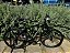 BICICLETA MTB ARO 29 HOUSTON KAMP FREIO DISC MECANICO QUADRO 19 (G) PRETO/PRATA - Imagem 1