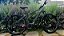 BICICLETA MTB ELÉTRICA ARO 29 OGGI 8.2 SHIMANO CUES 10V FREIO DISC HIDRAULICO QUADRO 19 (L) CINZA/PTO/VERM - Imagem 7