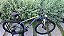 BICICLETA MTB ARO (29) OGGI HACKER HDS SHIMANO ESSA 8V FREIO DISC HIDRÁULICO QUADRO 17 (M) COR GRAF/AMAR/PT - Imagem 2