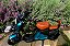 SCOOTER ELETRICA 48V 1000W DUOS E-TREK AZUL METÁLICO - Imagem 6