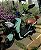 SCOOTER ELÉTRICA AUTOPROPELIDO DUOS EKO-7 600W 48V 20AH VERDE - Imagem 9