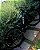 BICICLETA MTB ARO 29 GTI ROMA ALUMINIO 21V IMPORTADO FREIO DISC MECÂNICO 19 (G) PRETO/AZUL - Imagem 3