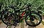 BICICLETA MTB ARO 29 RAVA ALUMINIO 21V IMPORTADO FREIO DISC MECÂNICO 19 (G) PRETO/VERMELHO - Imagem 4