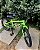 BICICLETA ARO (16) MASCULINA TSW FREIOS V-BRAKE COR VERDE (USADA) - Imagem 3