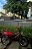 BICICLETA ARO (20) MASCULINA COR CROMOCOLOR VERMELHO S/MARCHA FREIO V-BRAKE MARCA MILANO FREESTYLE TIPO MONTADINHA - Imagem 5