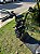 SCOOTER ELÉTRICA X13 AUTOPROPELIDO 1000W - Imagem 4