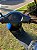 SCOOTER ELÉTRICA ESTILO MOTONETA 1000W AUTOPROPELIDO AZUL - Imagem 6