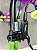 BICICLETA MTB FREERIDE ARO (26) VIKINGX TUFF X-25 CAMBIO 8 VELOCIDADES (1x8) FREIO DISC HIDRÁULICO COR ROXO/AMARELO - Imagem 8