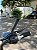 SCOOTER ELÉTRICA DUOS FX2 ESTILO MOTONETA 1000W 60V AUTOPROPELIDO VERMELHO - Imagem 8