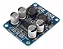 Tpa3118 Mono Placa Amplificador Digital 1x60 W 12 V 24 020 - Imagem 1
