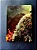 Jogo Dark Souls II Black Armor Edition - Xbox 360 (Steelbook) - Imagem 2
