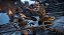 Jogo For Honor - Xbox One - Imagem 6