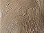 56.t. Tinta a Óleo Bronze Joules & Joules - Imagem 1