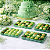 25 Forminhas Para Doces Finos Decoração Liz Tons Verde Festa - Imagem 3