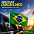 Bandeira Brasil Aste Decoração Carro festa loja bancada 45cm - Imagem 3