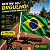Bandeira Brasil Aste Decoração Carro festa loja bancada 45cm - Imagem 5