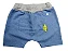 CONJUNTO CAMISETA COM SILK DE DINOSSAURO E SHORTS SARUEL COM DETALHE DE ZIPER- TAMANHO 6-9 MESES - Imagem 2