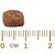 RAÇÃO GRANPLUS MENU ADULTO MINI CARNE ARROZ-15KG - Imagem 2
