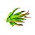 Suculenta Aloe Cacto em Silicone Verde Mesclado - Imagem 1