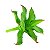 Suculenta Agave em Silicone Verde - Imagem 4