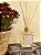 Aromatizador de Varetas Cascas & Folhas - Imagem 1