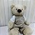Urso de Pelúcia - Imagem 1