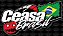 Bandeira Ceasa Brasil - Imagem 1