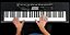 Kit Teclado Musical Casio CTK3500 5/8 61 Teclas Sensíveis com Capa Preta - Imagem 4