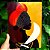 Quadros de MDF de Orixás - OYÁ - YANSÃ - Umbanda - Candomble - Imagem 1