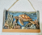 🐢 Quadro Decorativo 3D | Tartaruga em Recife de Coral – 26cm x 16,5cm - Imagem 3