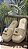Tamanco Flatform Duna - Imagem 1