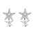 Brinco prata 925 Estrela com Micro zirconia cravada - Imagem 1