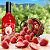 Licor Fino de Morango Alquimia 900 ml - Imagem 2