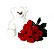 Urso com 12 rosas vermelhas - Imagem 1