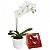 orquidea plantada + kopenhagem - Imagem 1