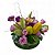 Orquidea com frutas - Imagem 1