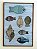 Painel 6 peixes e 1 concha em cerâmica artesanal sobre madeira 42 X 62 cms - Imagem 1