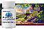 RESVERATROL - ativa genes da longevidade, protege o coração e combate o envelhecimento celular - Imagem 1